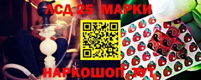 гидропоника Заводоуковск