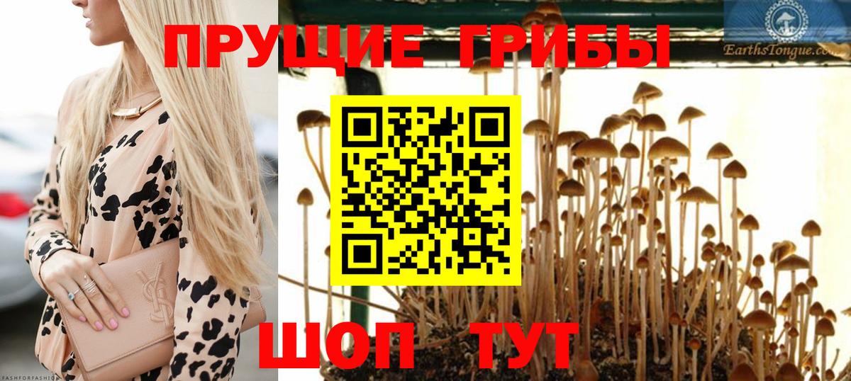 Псилоцибиновые грибы Magic Shrooms Дюртюли